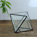 เรือนกระจก ระเบียง กระจก สวน ดอกไม้ Cube Terrarium